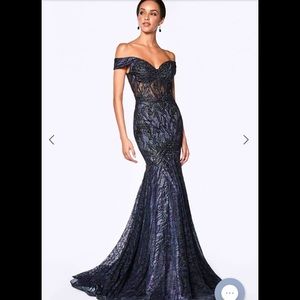 New ! Cinderella Divine Dress!